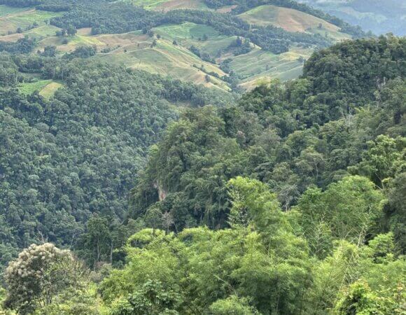 Hiking Northern Thailand